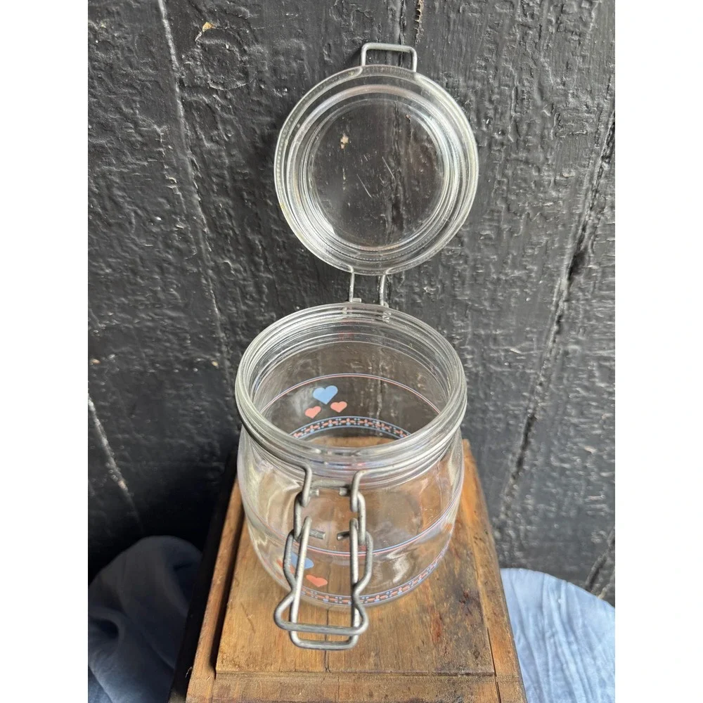 Vintage Arc France Goose Family Glass Canister Wire Bail Jar Hearts 3/4L